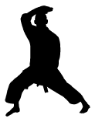 karate-1