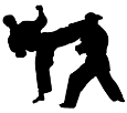 karate-2
